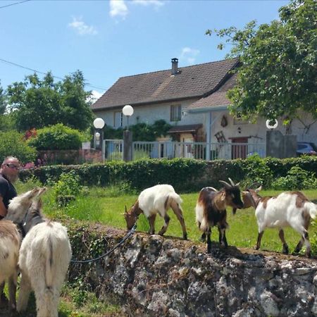 Basse-Cour De Montin Au 256 Chemin De La Rocaille A 38510 Vezeronce Curtin Bed & Breakfast Morestel Bagian luar foto