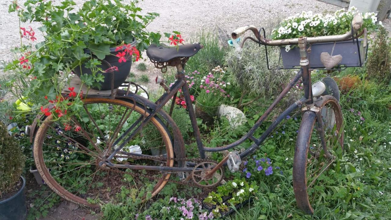 Basse-Cour De Montin Au 256 Chemin De La Rocaille A 38510 Vezeronce Curtin Bed & Breakfast Morestel Bagian luar foto
